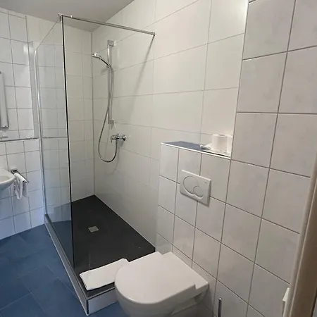Hotel-garni Goldener Schwan ホテル