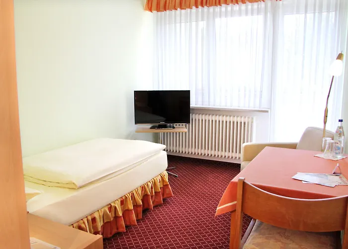 Hotel-garni Goldener Schwan Hotel 3*