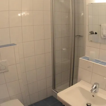 Hotel-garni Goldener Schwan 3*