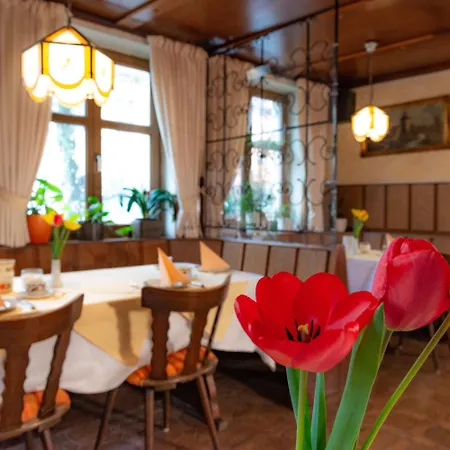 Hotel-garni Goldener Schwan 3* Bad Windsheim
