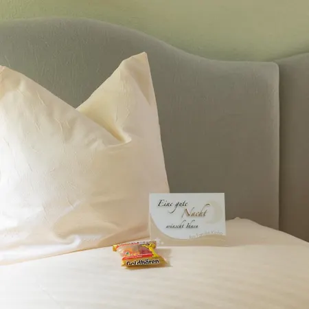 Hotell Hotel-garni Goldener Schwan