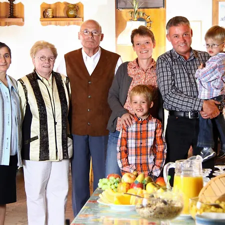 Hotel-garni Goldener Schwan 3* باد فيندشايم