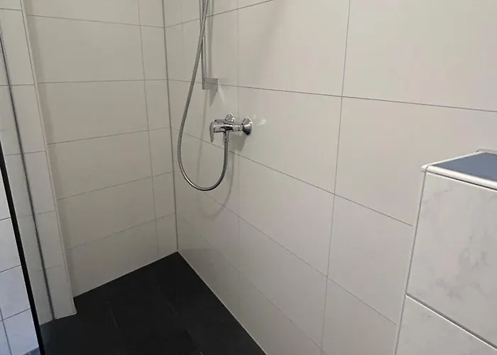 Hotel-garni Goldener Schwan מלון 3*