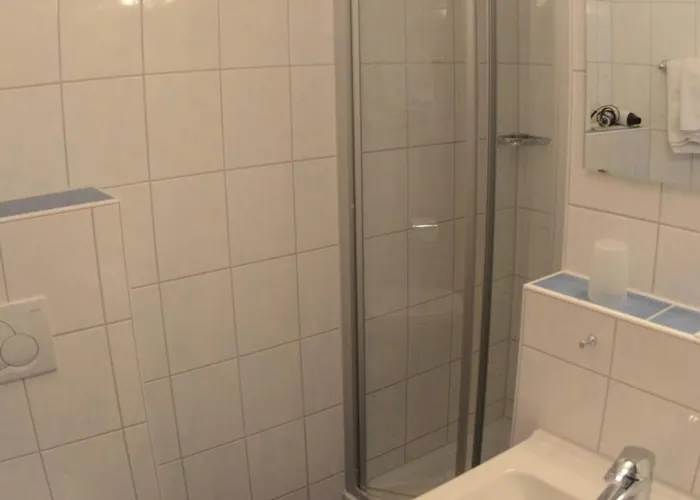 Hotel-garni Goldener Schwan 3*