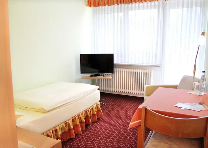 Hotel-garni Goldener Schwan 3*