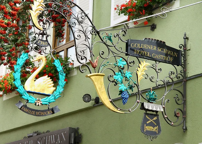 Hotel Hotel-garni Goldener Schwan 3*