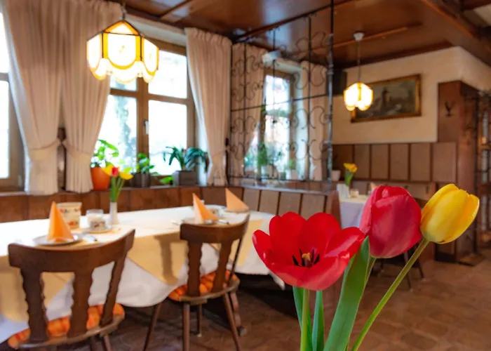 Hotel-garni Goldener Schwan 3* Bad Windsheim