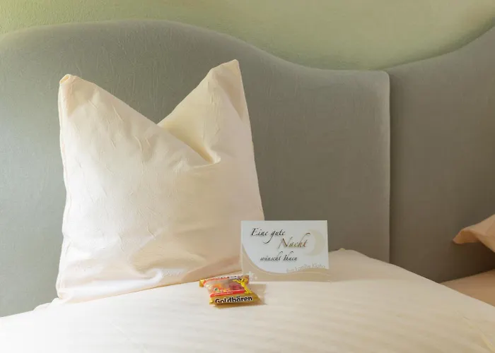 Hotel Hotel-garni Goldener Schwan